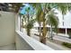 Balcony with a view of the city street and palm trees at 1273 Boulevard Of The Arts, Sarasota, FL 34236