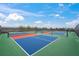 Community pickleball courts with blue and red playing surfaces at 15147 Lyla Ter, Bradenton, FL 34211