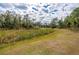 Landscaped backyard with pond and natural scenery at 2415 Nowatney Ave, North Port, FL 34286