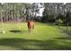 Horse in a lush green pasture with trees at 3340 Ulman Ave, North Port, FL 34286