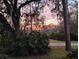 Backyard lush greenery and colorful sunset peeking through the trees at 3501 Sunbeam Dr, Sarasota, FL 34240