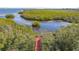 Wooden boardwalk leading through lush mangrove trees at 4009 Catalina Dr # 178, Bradenton, FL 34210