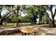 Wooden park bench under the shade of trees in a park-like setting at 4821 Hanging Moss Ln, Sarasota, FL 34238