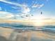 Tranquil beach scene with birds in flight at sunrise at 4857 Primrose Path, Sarasota, FL 34242