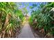 Front entry with a brick walkway and abundant tropical landscaping at 4857 Primrose Path, Sarasota, FL 34242