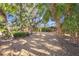 Landscaped front yard with mature trees and gravel driveway at 4857 Primrose Path, Sarasota, FL 34242