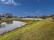 Peaceful pond view with lush green grass at 5715 Spanish Point Ct, Palmetto, FL 34221