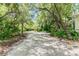Long driveway leading to a charming house surrounded by trees at 1101 Anclote Blvd, Tarpon Springs, FL 34689