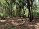 Open wooded area with several benches at 1101 Anclote Blvd, Tarpon Springs, FL 34689