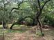 Peaceful wooded area with a bench and picnic table at 1101 Anclote Blvd, Tarpon Springs, FL 34689