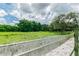 Open pasture with lush grass and trees in background at 1101 Anclote Blvd, Tarpon Springs, FL 34689