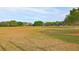 Community recreation area with a baseball field and open green space at 11921 Whistling Way, Lakewood Ranch, FL 34202