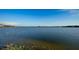 Serene view of a tranquil lake at 1210 Blue Shell Loop, Sarasota, FL 34240