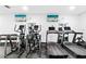 Bright gym featuring treadmills, ellipticals, free weights, and mounted televisions at 4822 Ocean Blvd # 8C, Sarasota, FL 34242