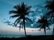 Silhouette of palm trees at sunset over a tranquil beach at 689 Lands End Dr, Longboat Key, FL 34228
