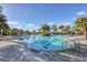 A large pool is surrounded by palm trees and lounge chairs on a sunny day, with a clear blue sky overhead at 9230 Isabella Cir, Parrish, FL 34219