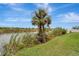 Waterfront backyard with lush grass and palm tree at 10442 Winnipeg St, Port Charlotte, FL 33981
