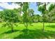 Lush green backyard with mature trees at 11662 Old Cypress Cv, Parrish, FL 34219