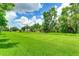 Expansive grassy backyard with natural landscape at 11662 Old Cypress Cv, Parrish, FL 34219