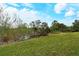 Large backyard with lush grass and natural Florida landscape at 206 Bella Vista Ter # 29B, North Venice, FL 34275