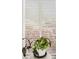 Plant-filled window with unique patterned shutters at 404 Cerromar N Cir # 108, Venice, FL 34293