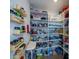 Well-organized pantry with ample shelving for storage at 6614 162Nd E Pl, Parrish, FL 34219