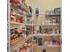 Well-organized pantry with ample shelving for storage at 11241 Sandhill Preserve Dr, Sarasota, FL 34238