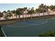 Outdoor basketball court with palm trees on perimeter creates a lovely place to play basketball at 12571 Night View Dr, Sarasota, FL 34238