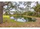 Serene pond with lush greenery and tree reflections at 135 N Creek Ln, Osprey, FL 34229