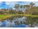 Beautiful pond reflecting the surrounding trees and houses at 135 N Creek Ln, Osprey, FL 34229