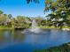 Scenic view of a tranquil pond featuring a central fountain and lush greenery at 1666 Pintail Way # 9, Sarasota, FL 34231