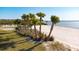 Community beachfront with palm trees and white sand at 2114 5Th E St, Palmetto, FL 34221