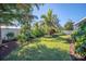 Landscaped yard with tropical plants and grass at 2424 Post Rd, Sarasota, FL 34231