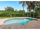 Freeform pool surrounded by lush landscaping at 5169 Oxford Dr, Sarasota, FL 34242