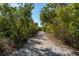 Scenic nature trail through lush vegetation at 5450 Eagles Point Cir # 301, Sarasota, FL 34231