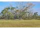 Expansive park with a large tree and lush green lawn, perfect for outdoor activities and community events at 73 Tidy Island Blvd, Bradenton, FL 34210