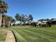 View of community's manicured lawn featuring sidewalks, mature trees, and landscaping at 3442 Medford Ln # 1109, Sarasota, FL 34239