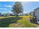 Spacious backyard with grassy lawn and mature trees at 3701 39Th W St, Bradenton, FL 34205