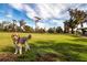 Spacious dog park with lush green grass and a dog playing at 4304 Fly Rod Ter, Parrish, FL 34219