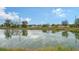 Enjoy the peaceful view of this tranquil pond at 4519 Trout River Xing, Ellenton, FL 34222