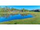 Serene pond view with lush green grass and mature trees at 20710 Saluti Pl, Venice, FL 34293