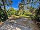 Wooded backyard with a clearing and a glimpse of a waterway at 2704 Barret Ave, Plant City, FL 33566