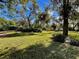 Expansive grassy backyard with mature trees and natural landscape at 2704 Barret Ave, Plant City, FL 33566