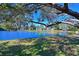 Serene waterfront view with large tree and lush landscape at 3267 Crystal Lakes Ct, Sarasota, FL 34235