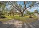 Mature oak tree and landscaping around home at 349 Scott Ave, Sarasota, FL 34243