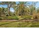 Landscaped yard with palm trees and lush foliage at 349 Scott Ave, Sarasota, FL 34243