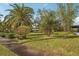 Landscaped yard with palm trees and lush foliage at 349 Scott Ave, Sarasota, FL 34243