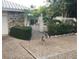 Gravel driveway with gated entrance and landscaping at 4839 Primrose Path, Sarasota, FL 34242