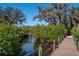 Nature trail with boardwalk leading through lush mangroves at 696 Regatta Way, Bradenton, FL 34208