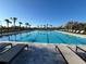 Gorgeous swimming pool with palm trees and plenty of lounge chairs for relaxing at 10109 Milky Way Cir, Sarasota, FL 34241